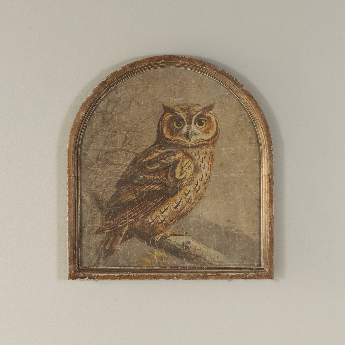 ARCHED FRAME GREAT HORNED OWL PRINT