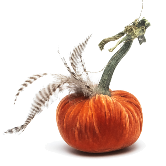 4" Persimmon w/Chinchilla Feather Plume