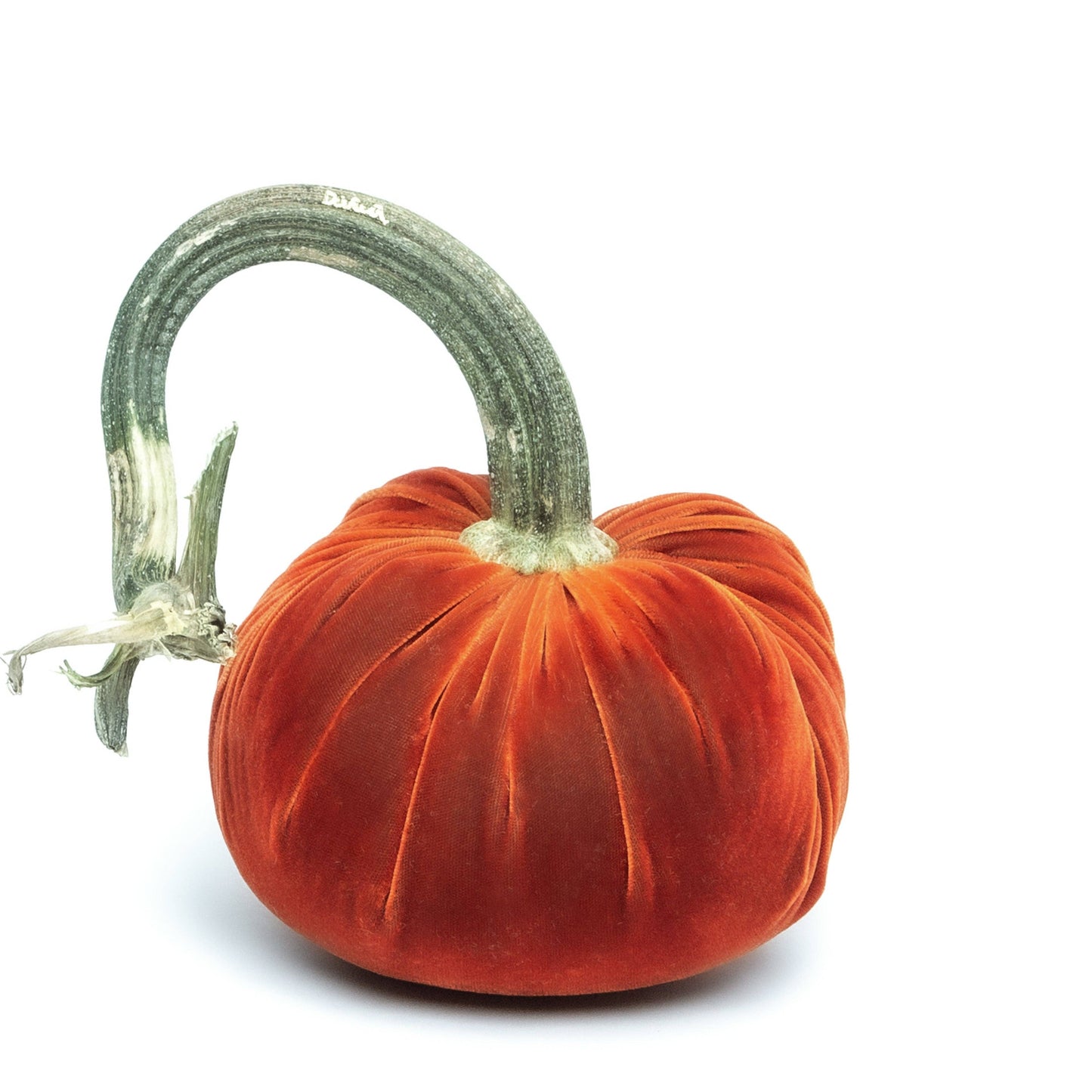 Apricot Silk Velvet Pumpkin: 8"