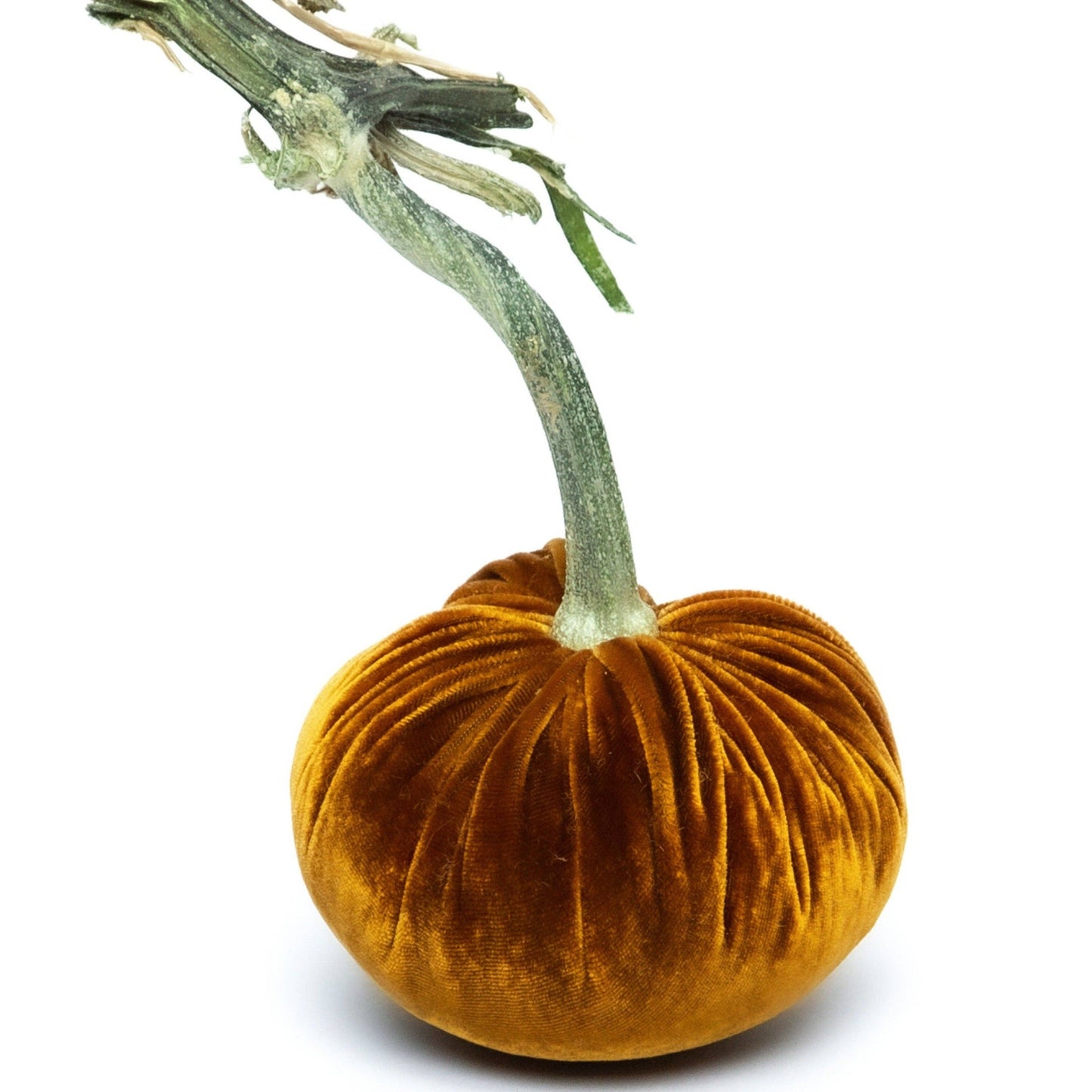 Bronze Silk Velvet Pumpkin: LE