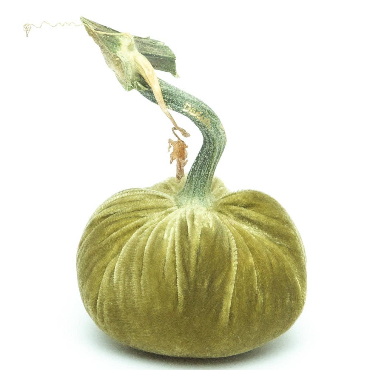 Celery Silk Velvet Pumpkin: 5"
