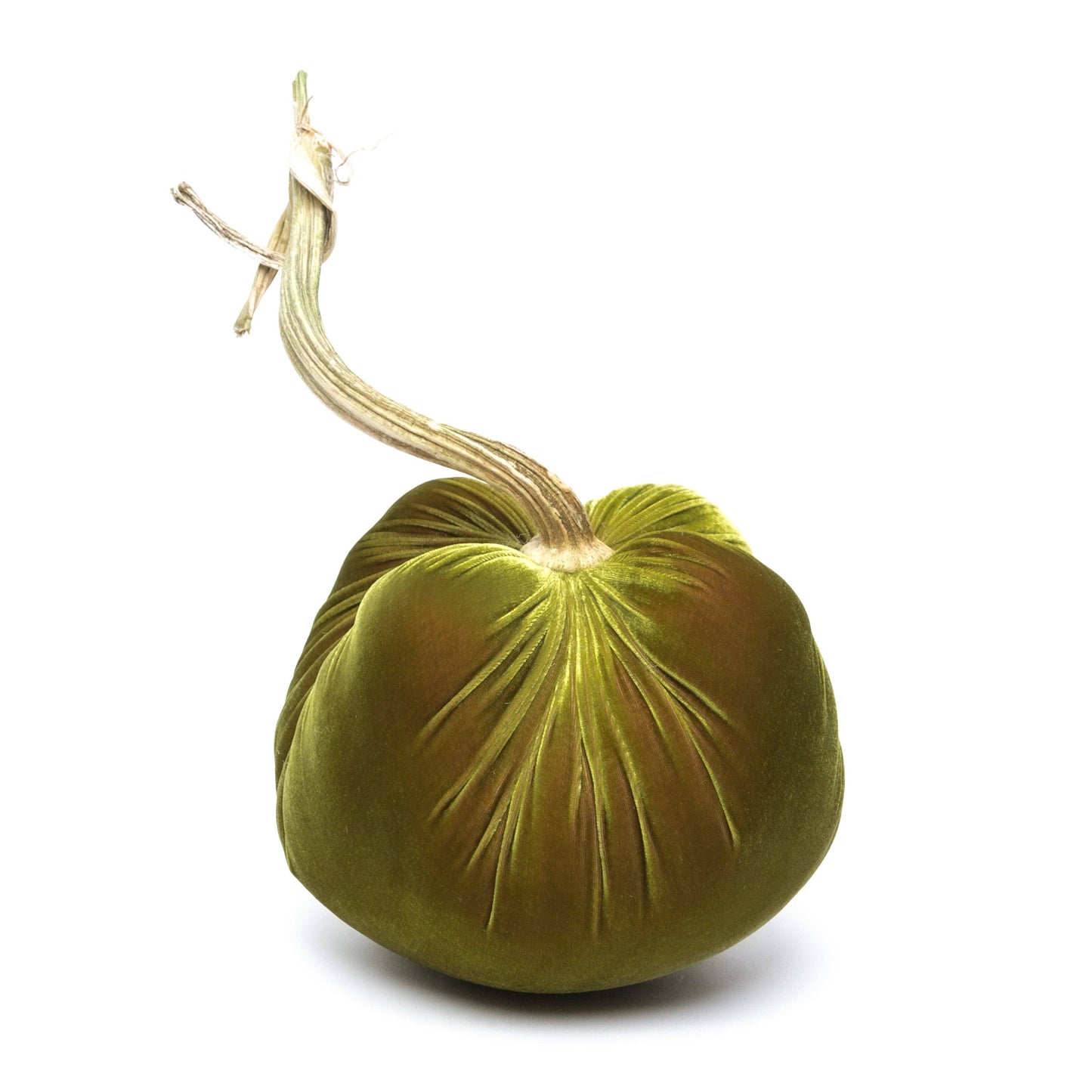 Cactus Silk Velvet Pumpkin: J (12")