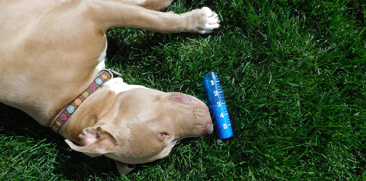 Rain Gauge Replacement Tube