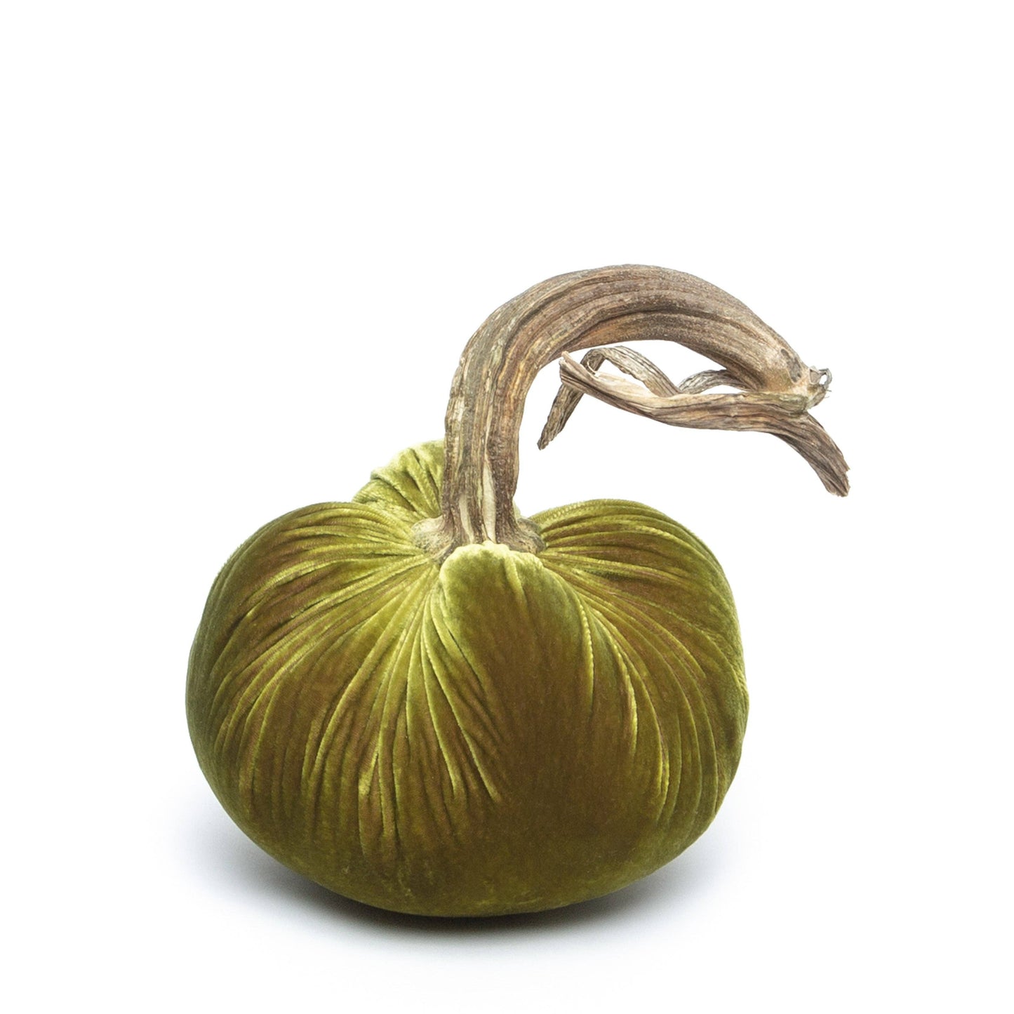 Cactus Silk Velvet Pumpkin: J (12")