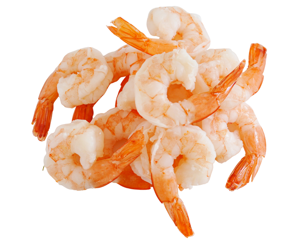 Shrimp