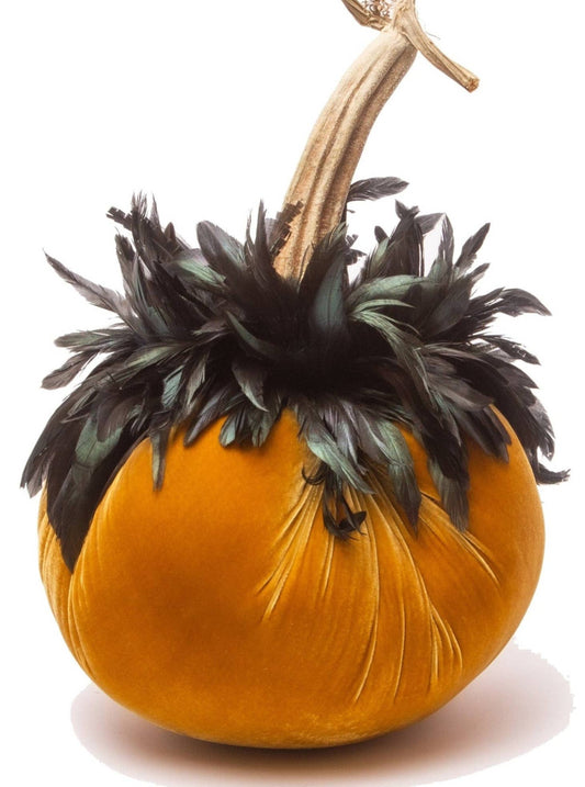 Gold w/ Black Feather Collar: 8"