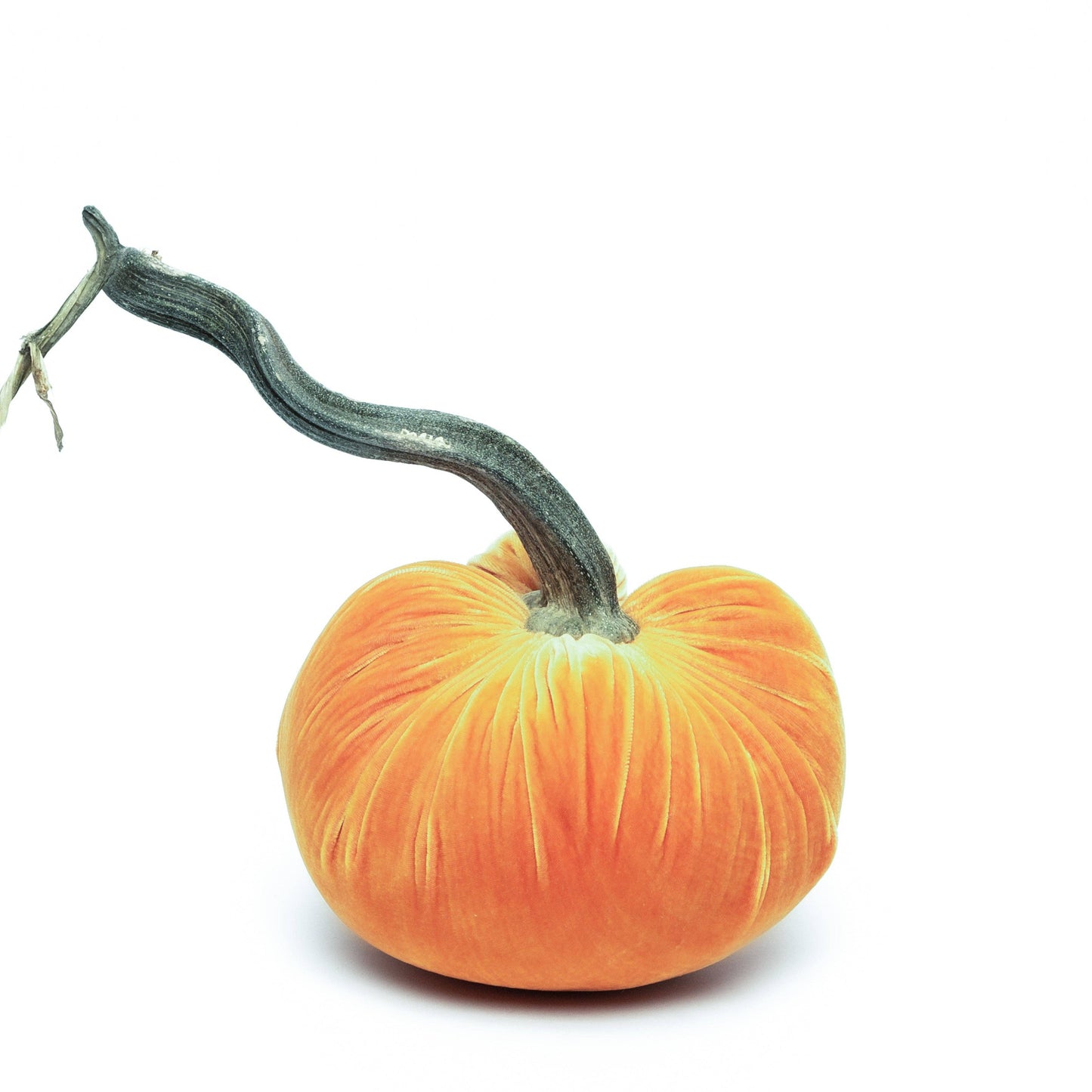 Carrot Silk Velvet Pumpkin: 5"
