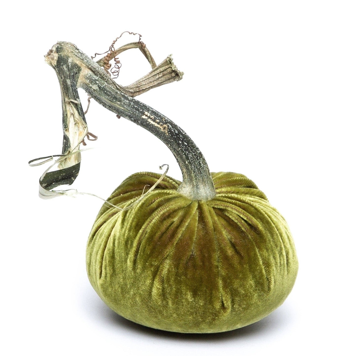Cactus Silk Velvet Pumpkin: J (12")