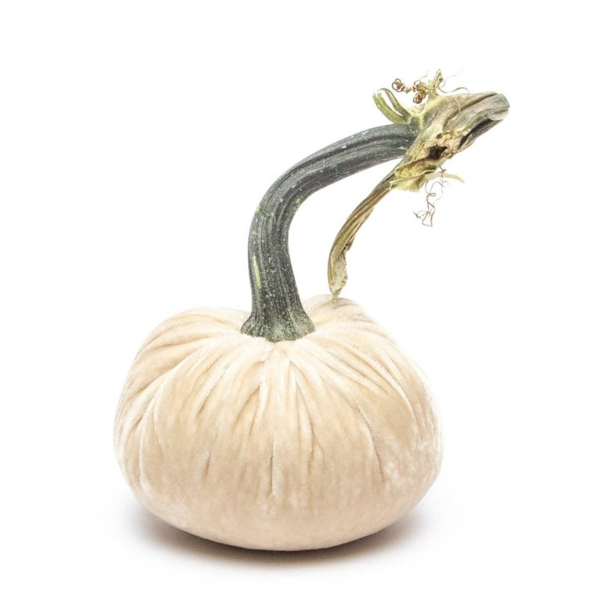 Cream Silk Velvet Pumpkin: 3"